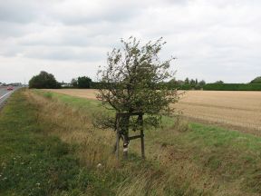 Greenwich Meridian Marker; England; Lincolnshire; Holbeach